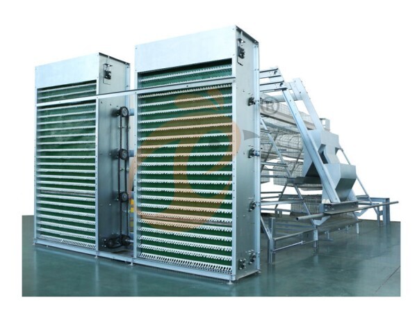 How To Upgrade Nigeria Poultry Farm Infrastructure: 5 Strategic Steps