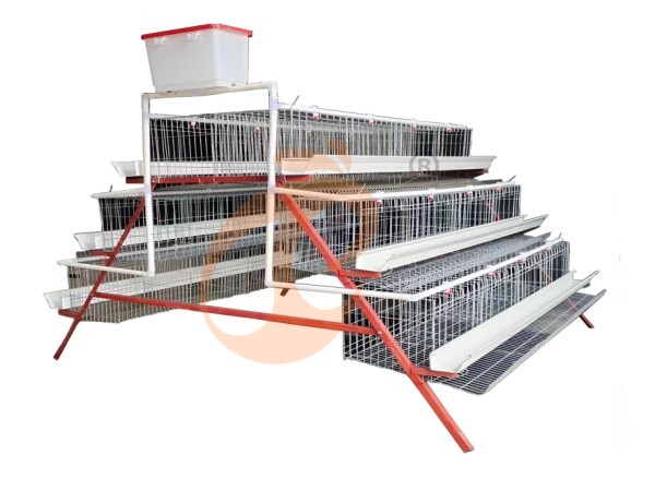 What Is An A Type Battery Cage System For Poultry Farm In Nigeria? A Clear Buyer’s Guide