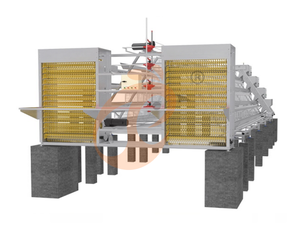 How Do Optimized H-Type Poultry Cages Reduce Feed Wastage In Nigeria?