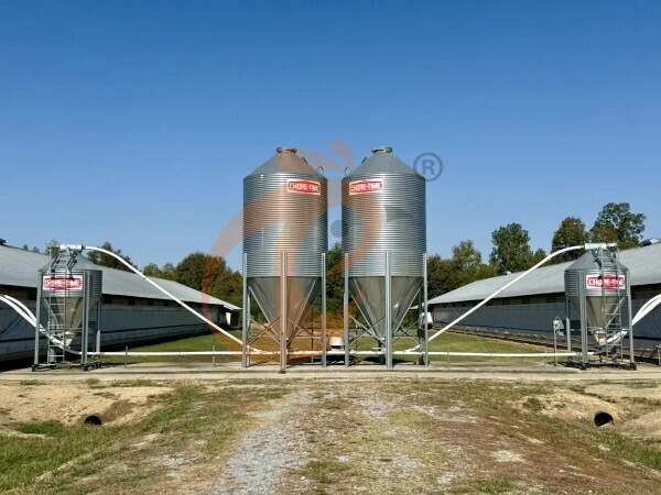 How To Scale Up Production With Advanced H Type Chicken Cage Systems