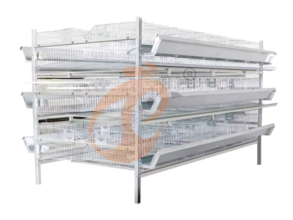 5 Easy Ways To Maximize H Type Chicken Cage Space Utilization In Nigerian Farms