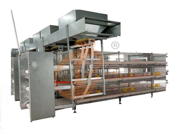 Nigeria Battery Cage Advantages: 6 Practical Steps To Improve Farm Biosecurity