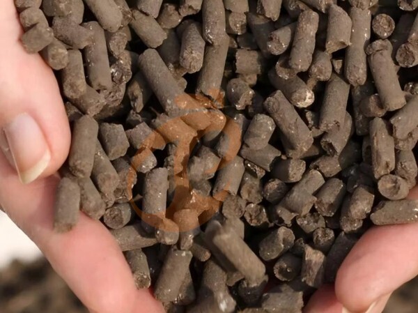 How To Optimize Pellet Machine Performance In Ethiopia | 5 Proven Strategies