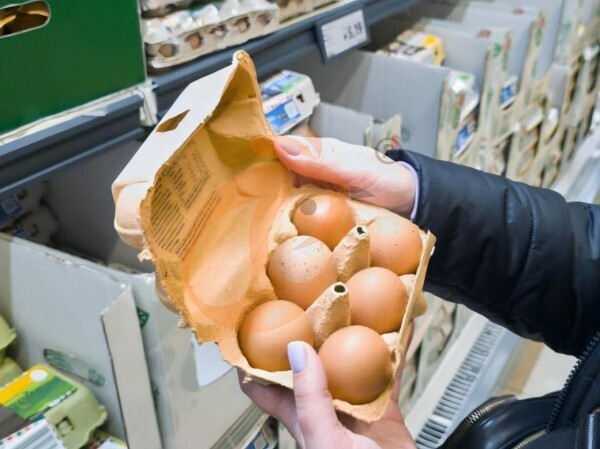 How Much Can Ethiopian H Type Chicken Cages Increase Egg Output On Poultry Farms?