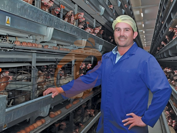 Hot-Dip Galvanized Vs Electro-Galvanized A-Type Battery Cage In Nigeria: Which Lasts Longer?