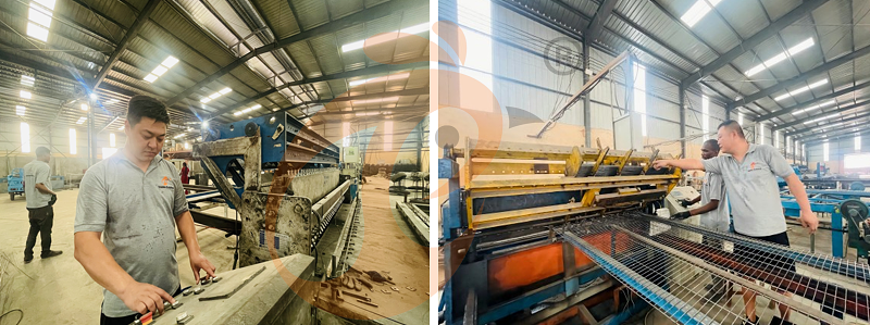 poultry farm chicken cage factory.png