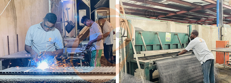 africa poultry farm chicken cage factory (2).png