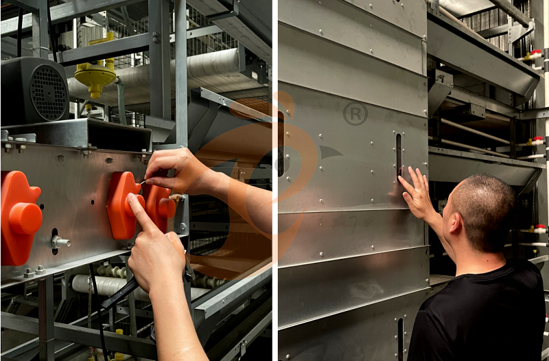 chicken cage poultry equipment installation (1).png