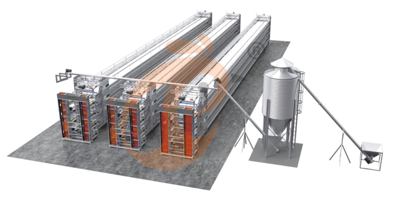 chicken cage PDF. (3)