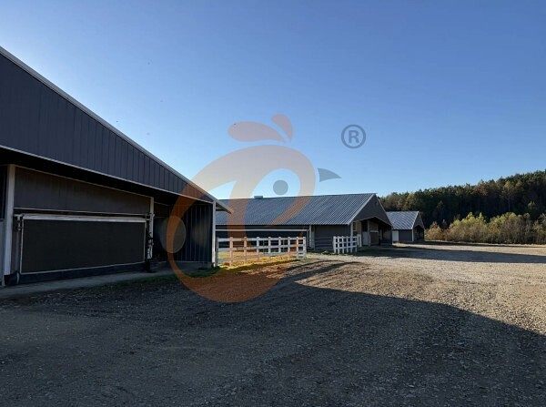 broiler poultry farm 2 broiler poultry farm 2