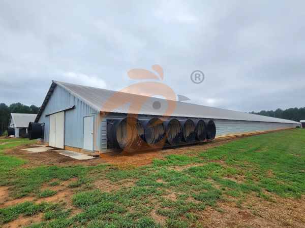 6 Steps To Expand Or Upgrade Nigeria Poultry Farms For Maximum Profit