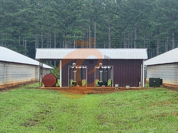 How To Plan A Scalable Battery Cage System: 6 Strategic Steps For Growth