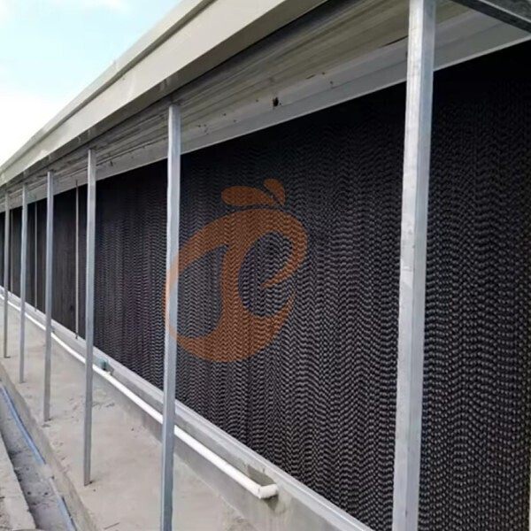 deep litter system 1 (8)