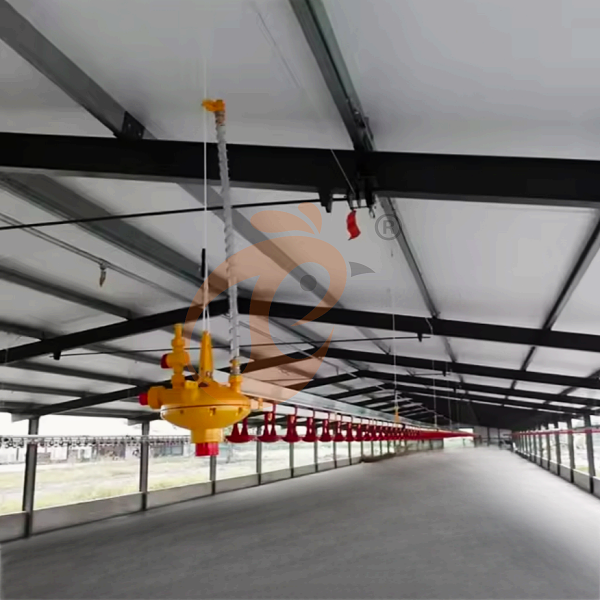 deep litter system 1 (2)