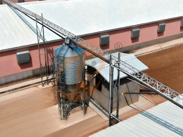 deep litter system - feed silo (1)