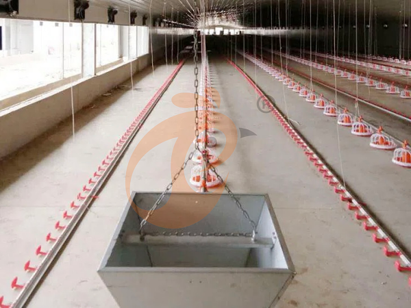 deep litter system (9)