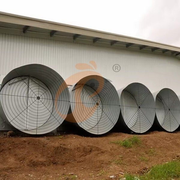 deep litter system 1 (9)