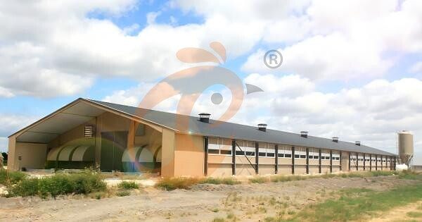 poultry house ventilation  5