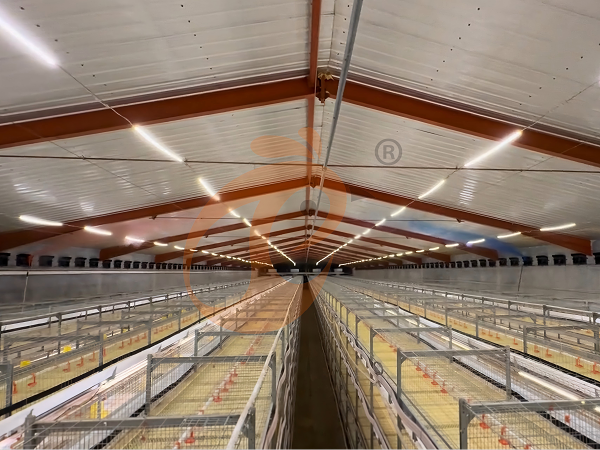 poultry house  ventilation 3 (1-1)