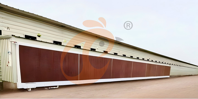 poultry house ventilation  (2)