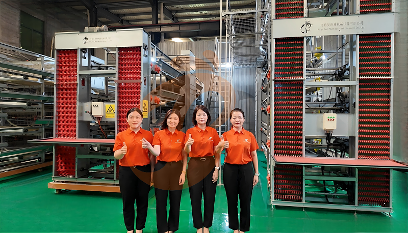 Poultry farm equipment supplier (5) Poultry farm equipment supplier (5)