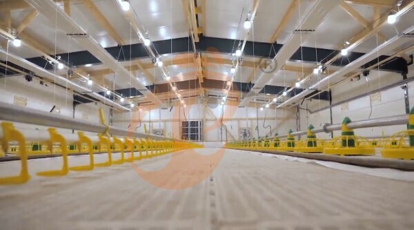 broiler slatted floor system (1)