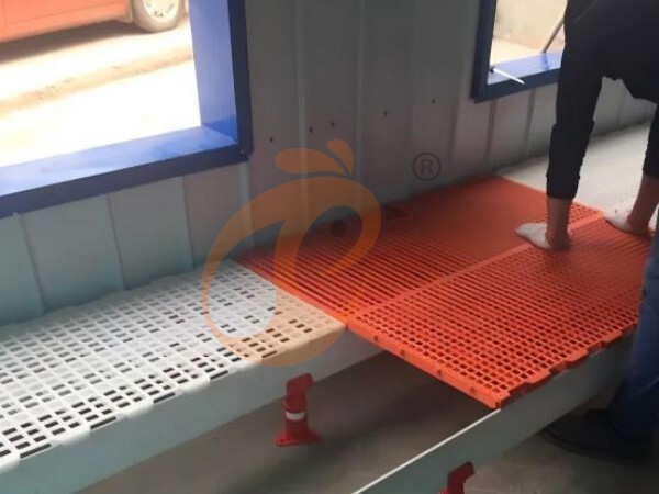broiler slatted floor system (3)