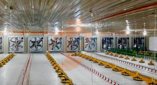 broiler slatted floor system (4)