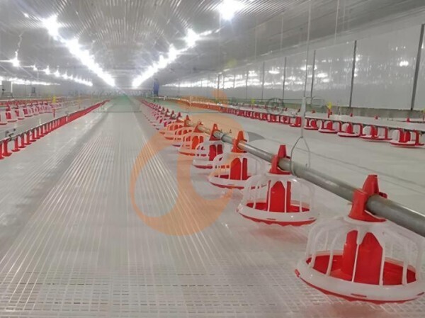 broiler slatted floor system (6)