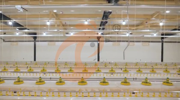 broiler slatted floor system (8)