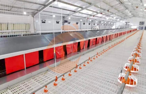 layer slatted floor system (3)