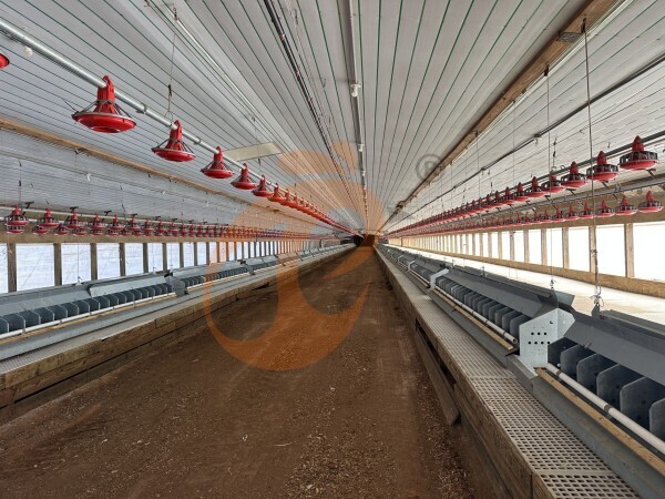 layer slatted floor system (8)