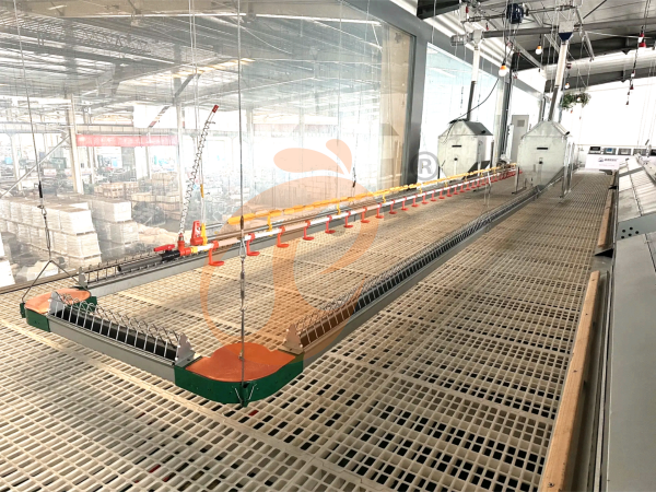 poultry slatted floor system (1)