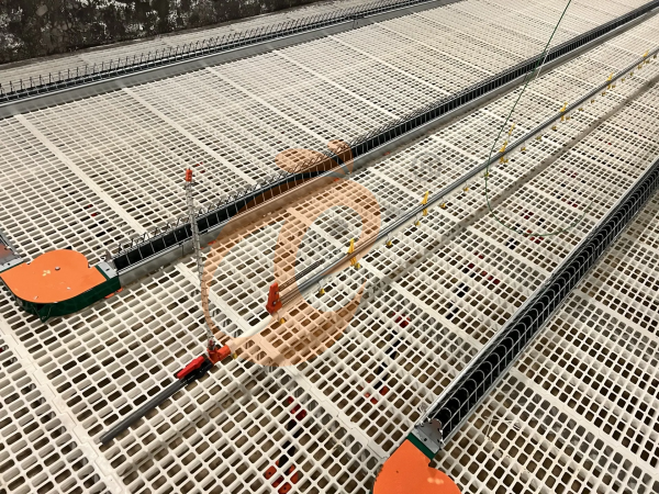 poultry slatted floor system (2)