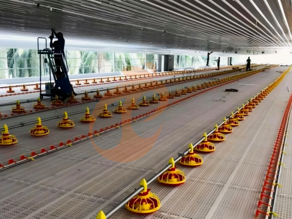 poultry slatted floor system (3)