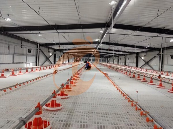 poultry slatted floor system (5)