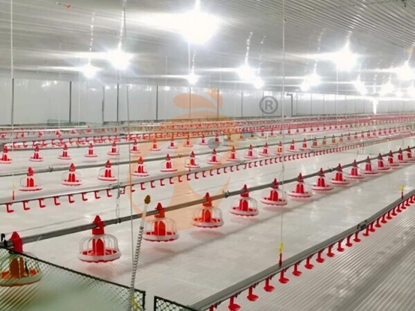 poultry slatted floor system (8)