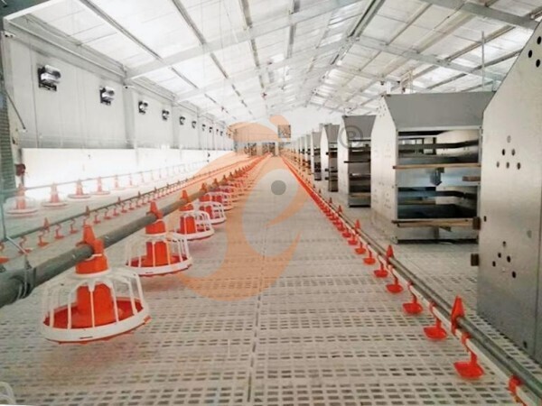 poultry slatted floor system (9)