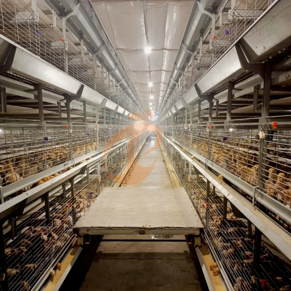 Brooder chicken cage3