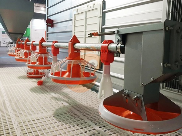 Feed System1 (9)