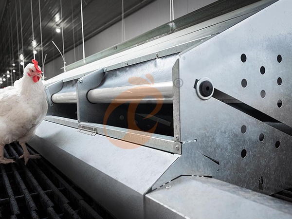 Poultry Equipment Supplier List | 6 Practical Tips To Choose The Right One