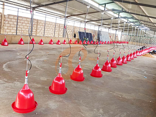 Plasson Poultry Equipment4 (4)