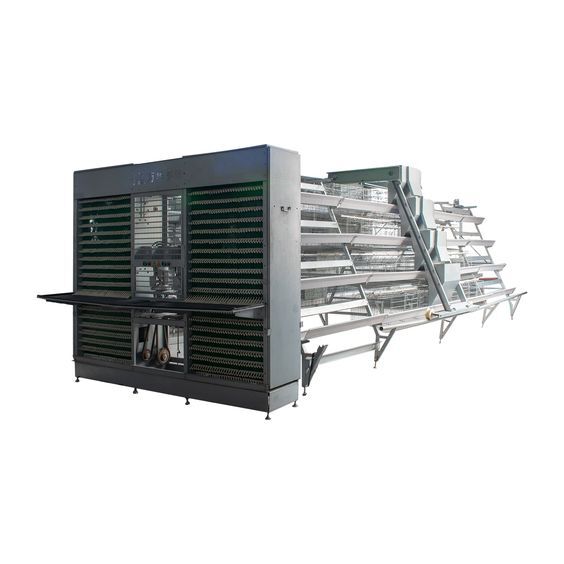 Egg collection system's detailed introduction