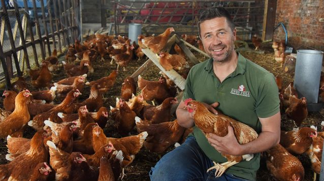 What is the efficacy of feed on broilers in poultry farm