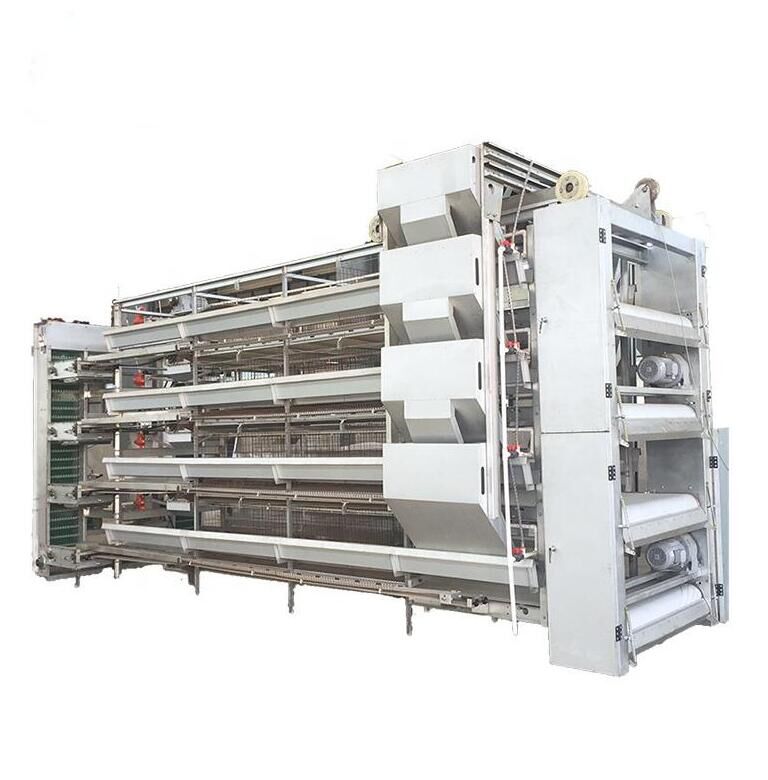 Automatic feeding machine in chicken poultry cage