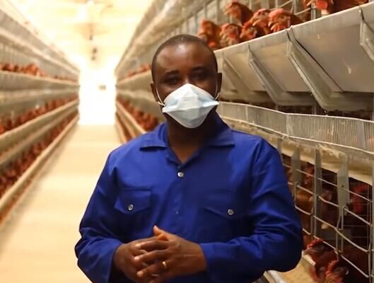 Benefits of formulating your own poultry feed using a feed mill machine