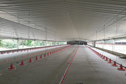 Luoto finished broiler project of 500,000 broilers with floor broiler automatic feeding and drinking system