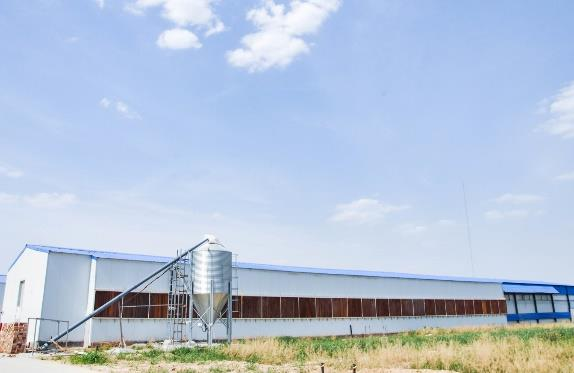 Luoto finished layer project of 60,000 birds in Southeast Asia poultry farm