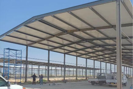 Best finushed layer project of raising 73,440 birds in a poultry house