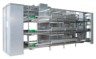 How to use farming broiler battery cages (1).jpg
